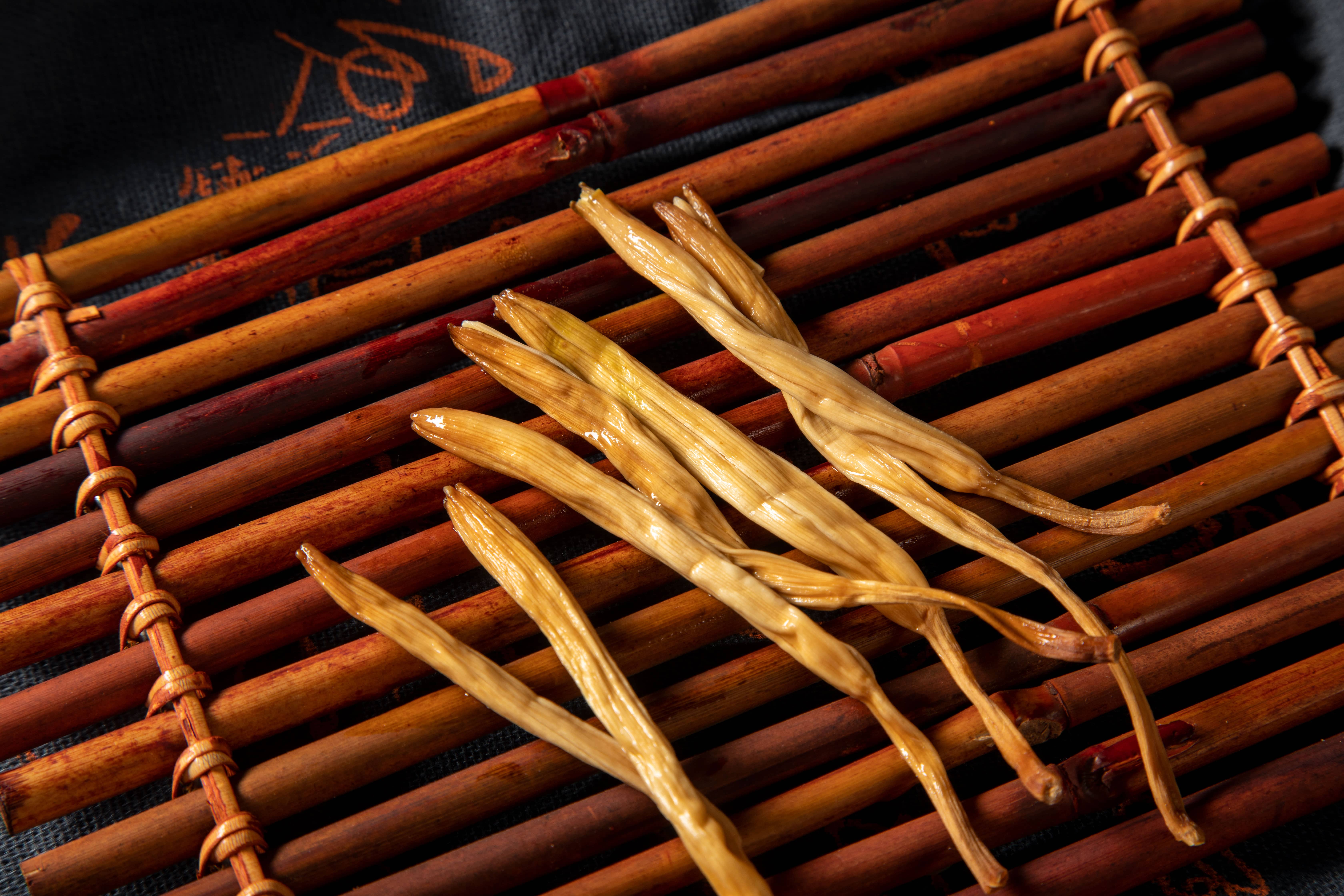P10A0982-tuya.jpg