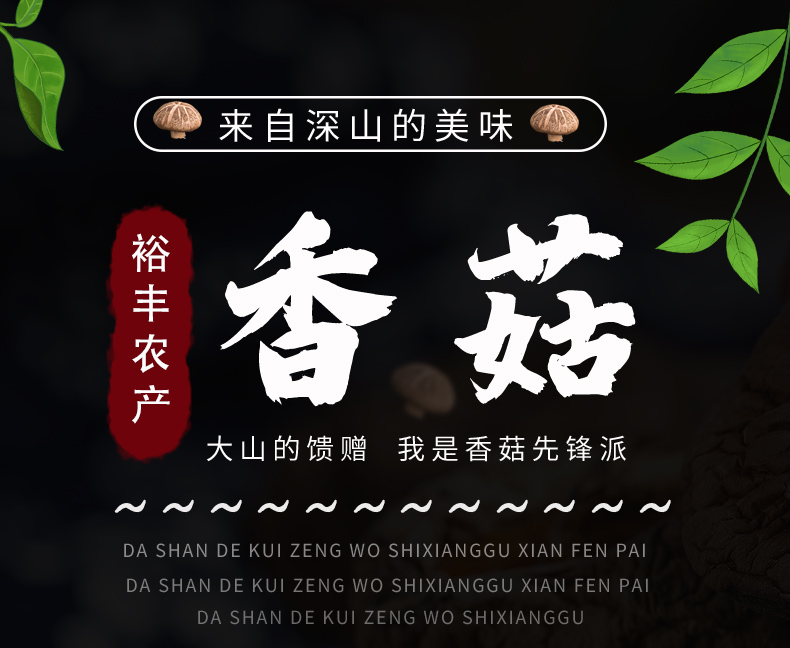 香菇_01.jpg