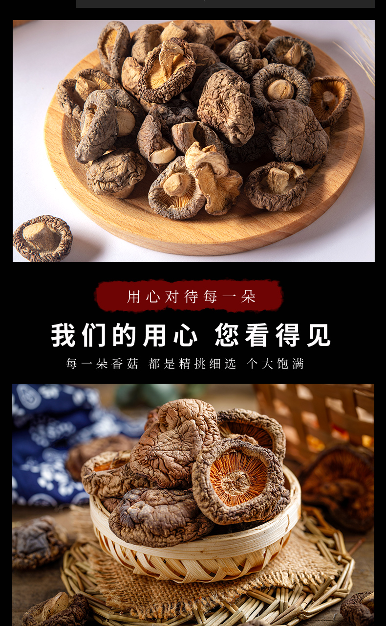 香菇_03.jpg